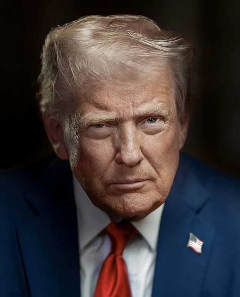 Donald Trump portrait